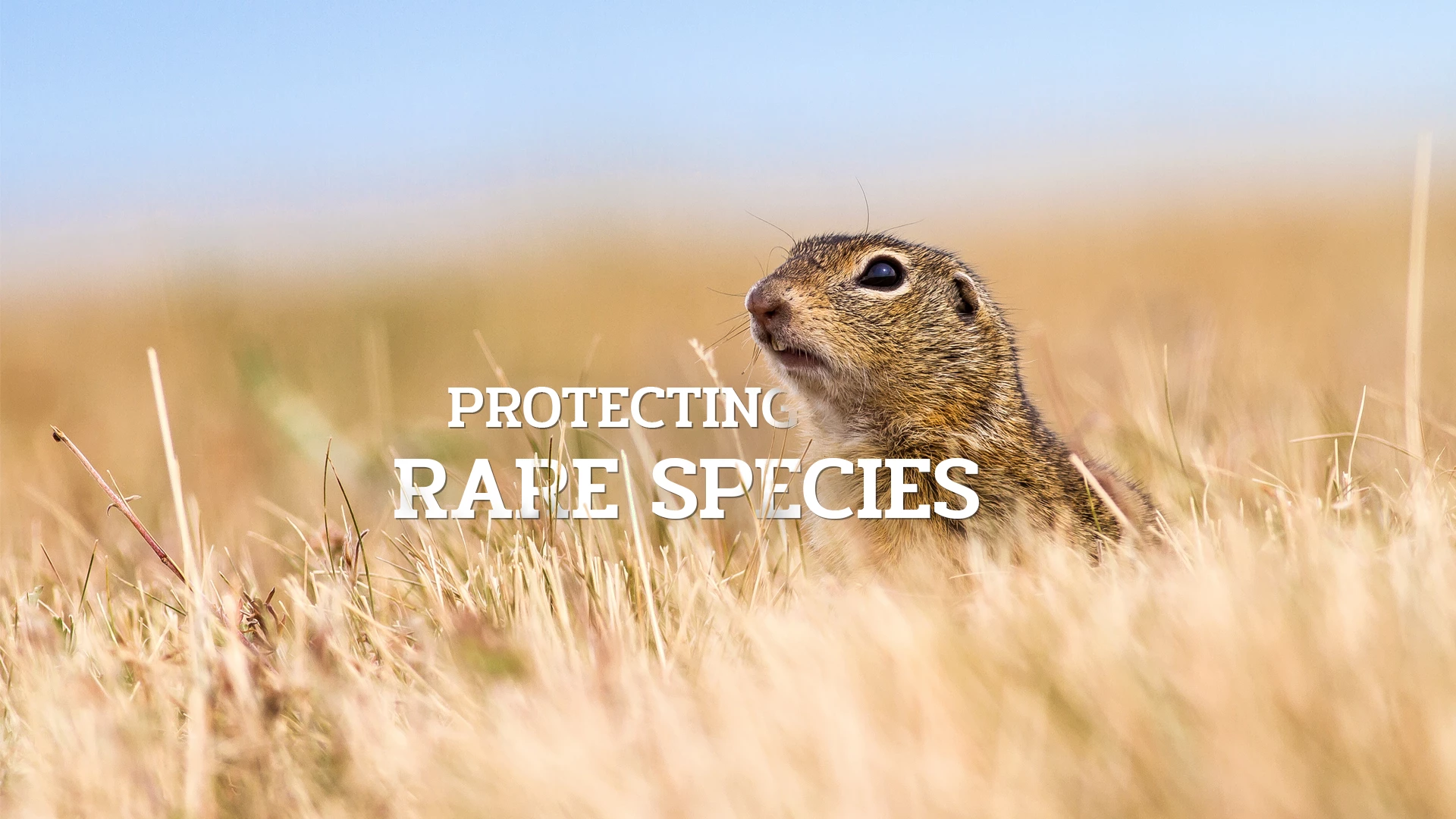 Protecting rare species