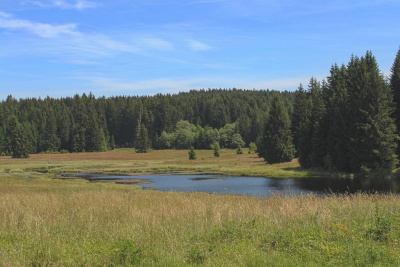 Sklářství Hutský rybník.